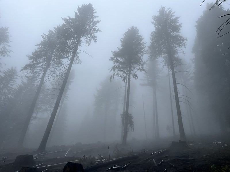 foggySmoke
