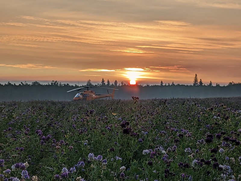 Photo of helicopter at Kimiwan Helibase in Canada